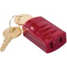 Plug Lockout: 110 Volt